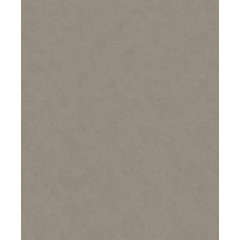 SHADES 32429